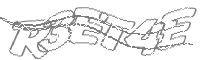 Check code