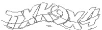 Check code