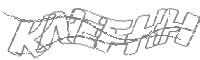 Check code